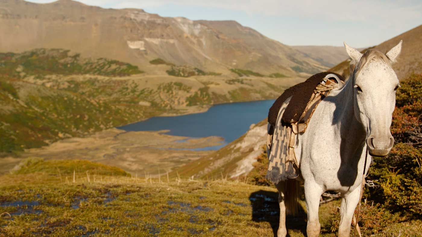 A Gaucho’s horse rests atop a high ridge that overlooks the Laguna Negra lake.