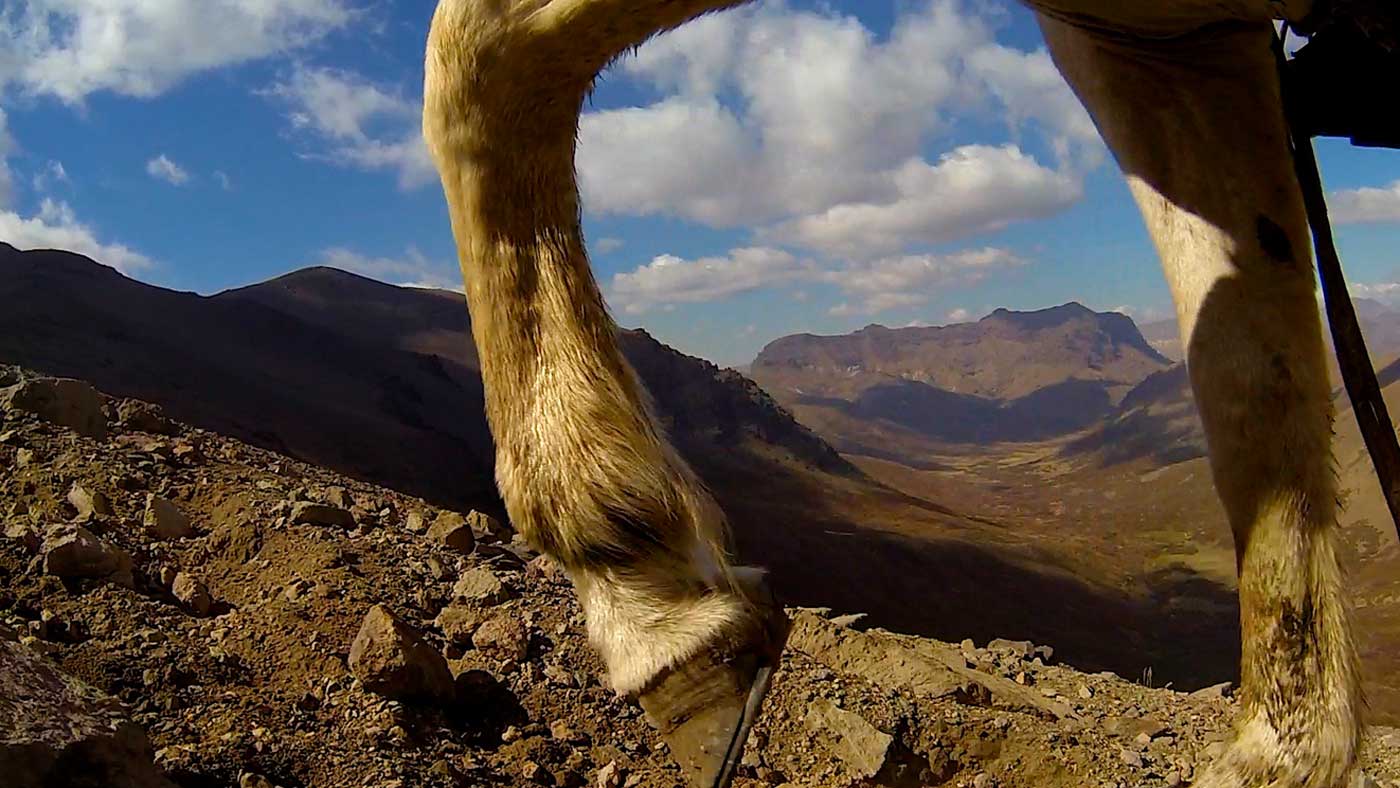 Close-up of a horse’s hooves advancing along the rugged terrain, step by heavy step; mountains rise in the distance.