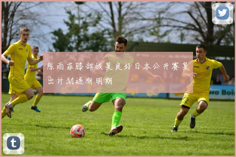 陈雨菲膝部恢复良好日本公开赛复出计划逐渐明朗