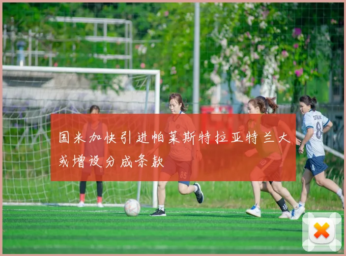 国米加快引进帕莱斯特拉亚特兰大或增设分成条款